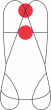 CAMP. Vertical