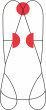 CAMP. Swifty Vest