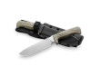 LionSteel M7 CVG