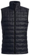 Ortovox Downwool 180 Vest Men's