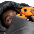 Mammut Perform Fiber Bag -7°C L