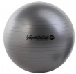 Ledragomma Tonkey Physio Ball Maxafe