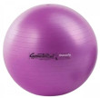 Ledragomma Tonkey Gymnastik Ball Maxafe