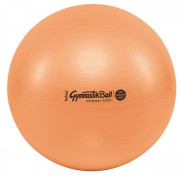 Ledragomma Tonkey Gymnastik Ball Maxafe