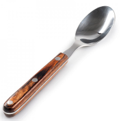 GSI Rakau Table Spoon