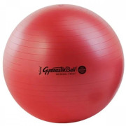 Ledragomma Tonkey Gymnastik Ball Maxafe