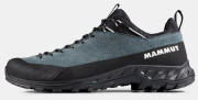Mammut Alnasca IV Low LTH Men