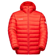 Mammut Waymarker IN Hooded Jacket Men