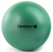 Ledragomma Tonkey Gymnastik Ball Maxafe