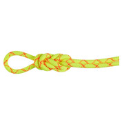 Mammut 9.5 Alpine Core Protect Dry Rope