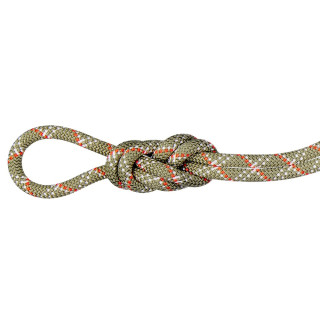 Mammut 9.5 Gym Classic Rope