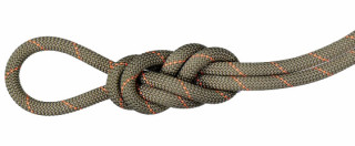 Mammut Gym Workhorse 9,9 mm