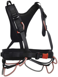 Black Diamond Heavy Metal Geal Sling