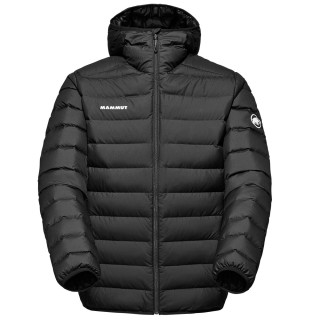 Mammut Waymarker IN Hooded Jacket Men