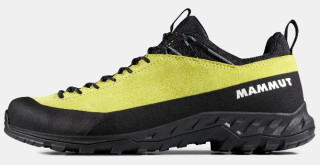 Mammut Alnasca IV Low LTH Men