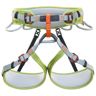 Climbing Technology Ascent