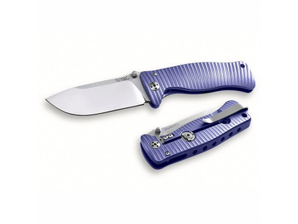 LionSteel SR2 V