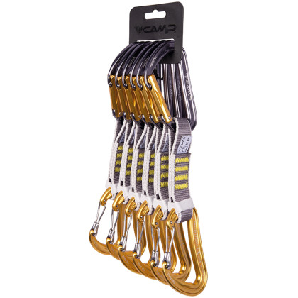 Camp Dyon Mixed Express KS 12cm 6 Pack