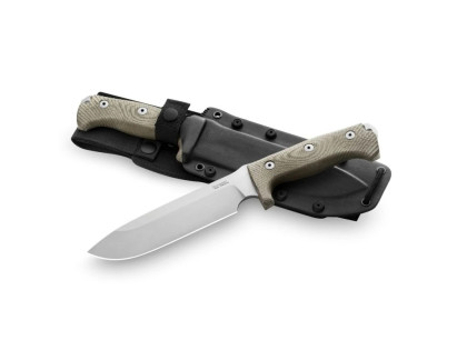 LionSteel M7 CVG