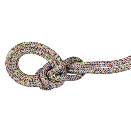 Mammut 9.5 Crag We Care Classic Rope