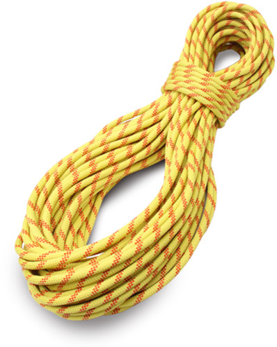 Tendon Static 10,5 Secure
