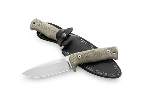 LionSteel T5 CVG
