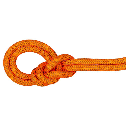 Mammut 9.8 Crag Dry