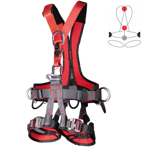 Camp. Golden Top Evo Alu