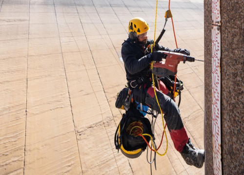 Petzl Asap'Sorber Axess