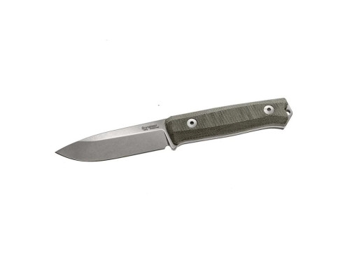 LionSteel B40 CV