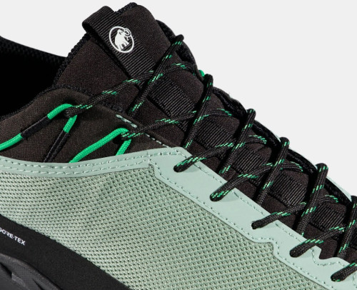 Mammut Alnasca IV Low GTX Men
