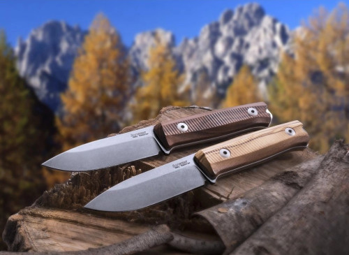 LionSteel B40 ST