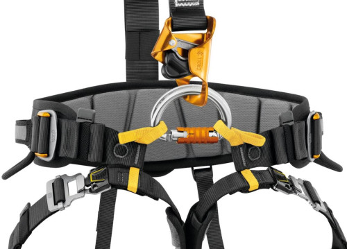 Petzl Falcon Ascent