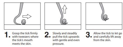 Lifesystems Compact Tick Tweezers
