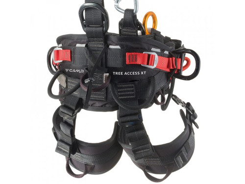 Camp. Tree Access ANSI XT