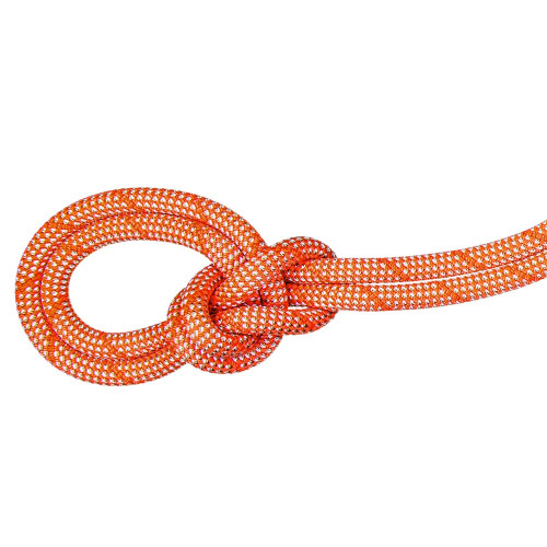Mammut 9.8 Crag Classic Rope