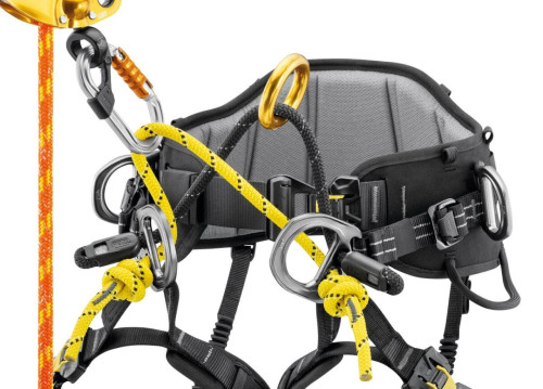 Petzl Sequoia