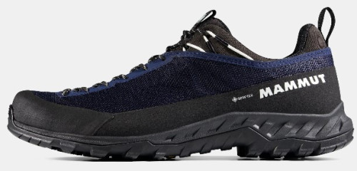 Mammut Alnasca IV Low GTX Men