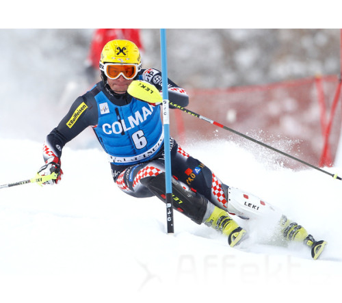 Leki Shin Guard Worldcup Pro