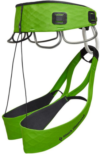Black Diamond Recco Vision Airnet