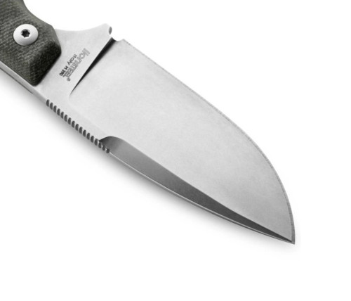 LionSteel H2 CVG