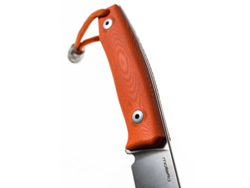 LionSteel M1 GOR