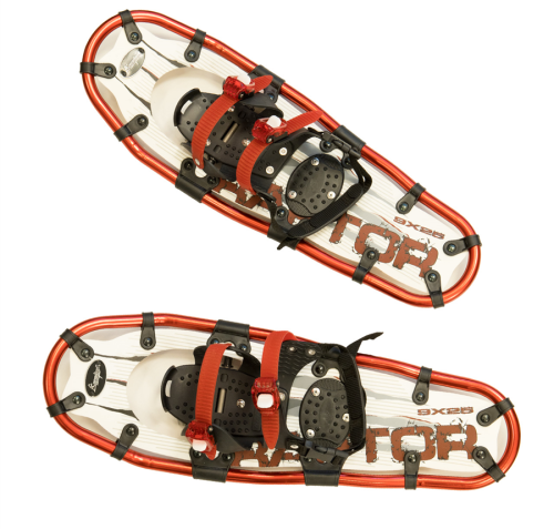 Yate Raptor