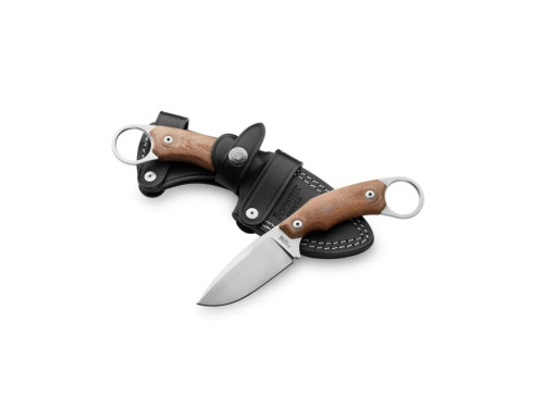 LionSteel H2 CVN