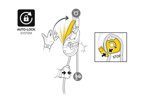 Petzl Rig