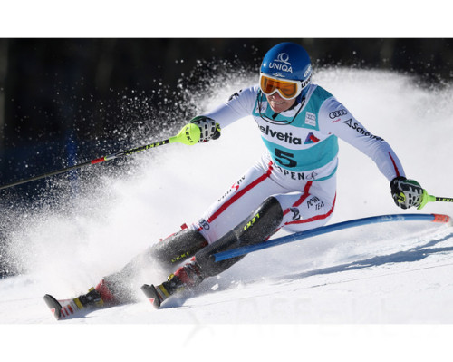Leki Shin Guard Worldcup Pro