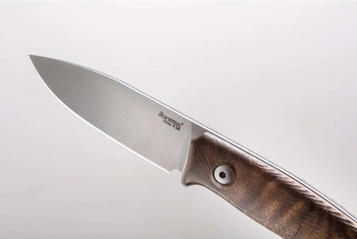 LionSteel M1 WN