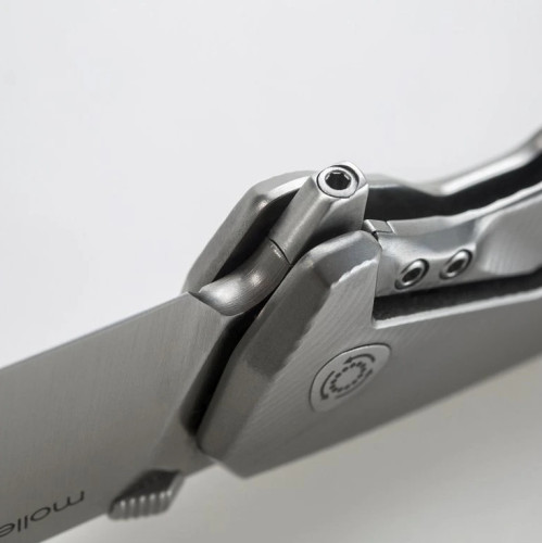 LionSteel TRE BR