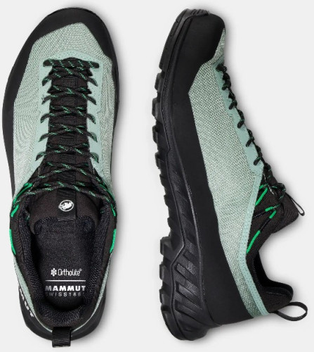 Mammut Alnasca IV Low GTX Men
