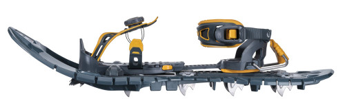 TSL Symbioz Phoenix